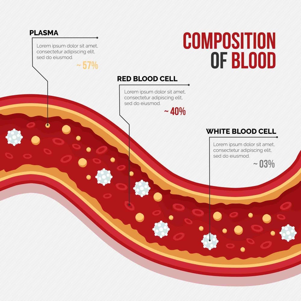 Mechanisms of Inflammation