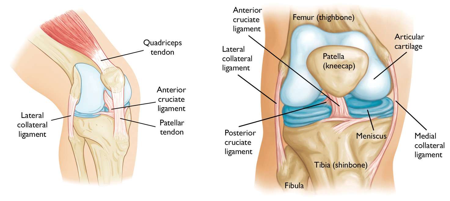 knee injuries