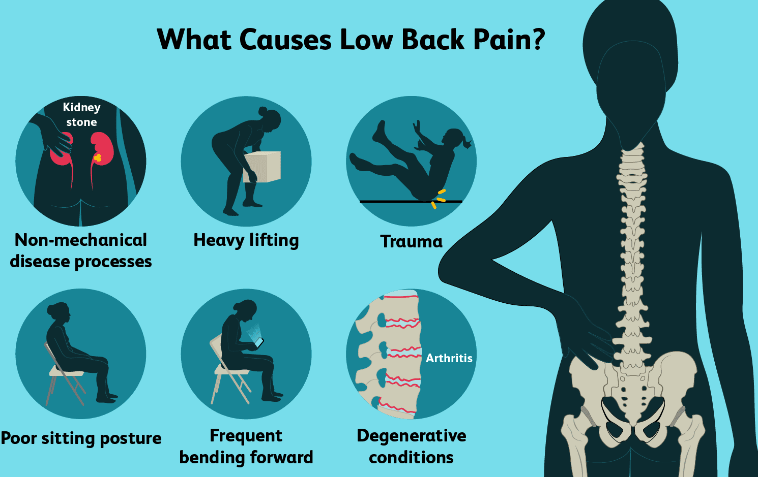 Back Pain Symptoms And Causes Back Pain Symptoms And Causes