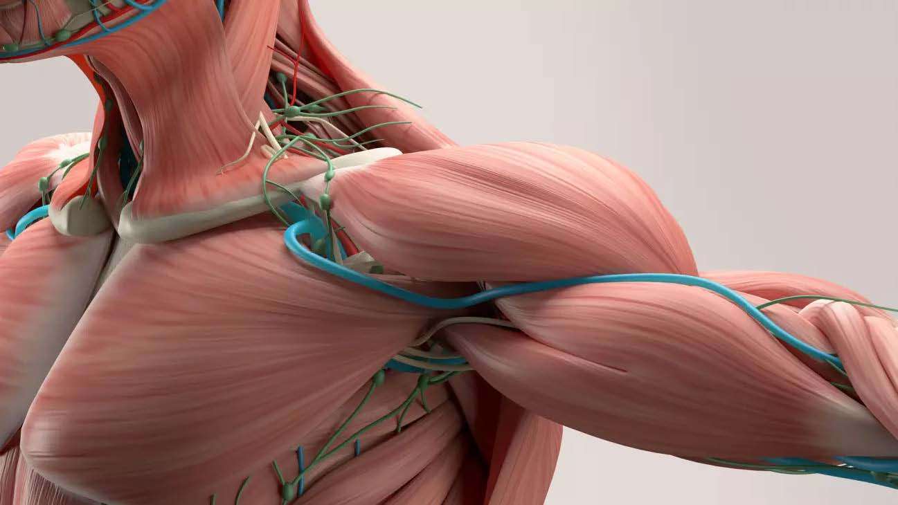 What Is Thoracic Outlet Syndrome 